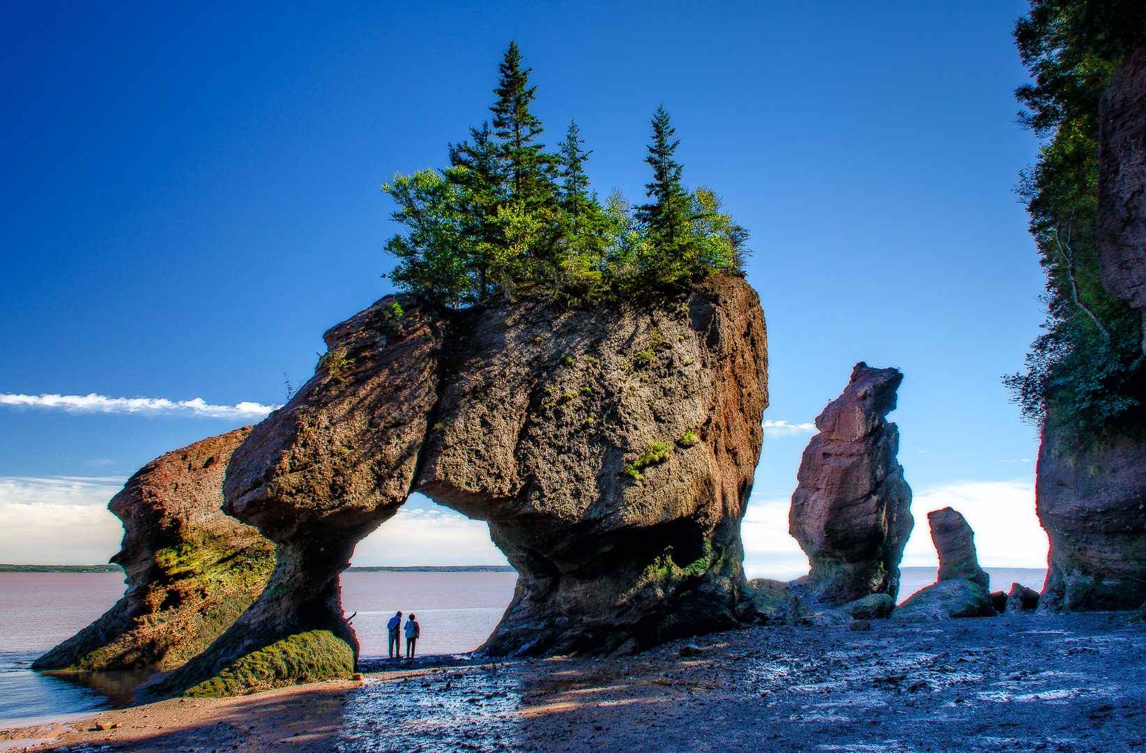 Hopewell Rocks tại New Brunswick
