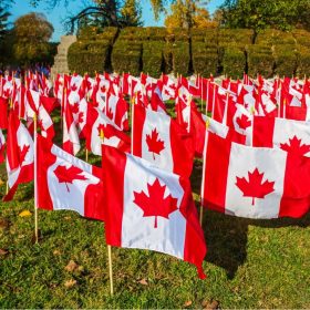 Bộ di trú Canada ra mắt 2 chương trình thí điểm cho các cộng đồng tiếng Pháp và nông thôn