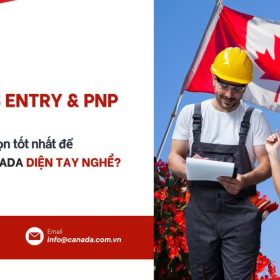 Express Entry vs PNP Đâu là lựa chọn tốt nhất để định cư Canada diện tay nghề
