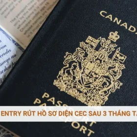 Express Entry rút hồ sơ diện CEC sau 3 tháng tạm dừng