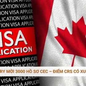 Express Entry mời 3000 hồ sơ CEC – Điểm CRS có xu hướng giảm