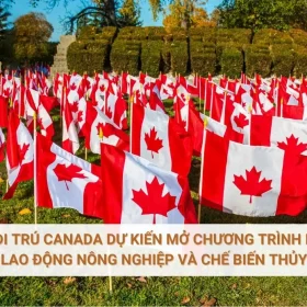 Bộ di trú Canada dự kiến mở chương trình mới cho lao động nông nghiệp và chế biến thủy sản