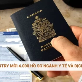 Express Entry mời 4.000 hồ sơ ngành y tế và dịch vụ xã hội