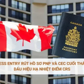 Express Entry rút hồ sơ PNP và CEC cuối tháng 6 – Dấu hiệu hạ nhiệt điểm CRS