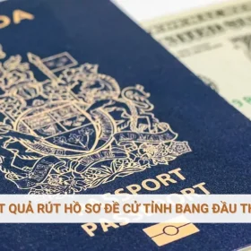 Cập nhật kết quả rút hồ sơ đề cử tỉnh bang đầu tháng 08/2025