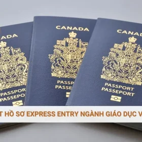 Canada rút hồ sơ Express Entry ngành giáo dục và kỹ thuật