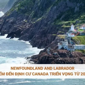 Newfoundland and Labrador - Điểm đến định cư Canada triển vọng từ 2025