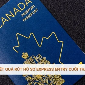 Cập nhật kết quả rút hồ sơ Express Entry cuối tháng 11/2025