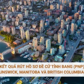 Kết quả rút hồ sơ đề cử tỉnh bang (PNP) ở New Brunswick, Manitoba và British Columbia đầu 2026