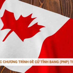 Cập nhật các chương trình đề cử tỉnh bang (PNP) tháng 02/2026