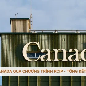 Định cư Canada qua chương trình RCIP - Tổng kết năm 2025