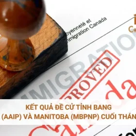 Kết quả đề cử tỉnh bang Alberta (AAIP) và Manitoba (MBPNP) cuối tháng 2/2026